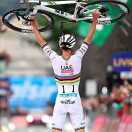 wx_L- biCYcle16