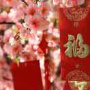 盘政芃