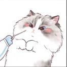 陶先生的头像