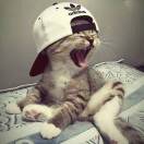 ㅤㅤㅤㅤㅤㅤㅤㅤ的头像-2Y资源