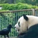 风起时