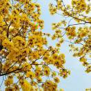 HoGaaKeoi店主头像