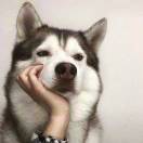 用户30319752的头像-87副业网