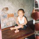 Gem🦖汽车年审收二手车保险