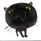 肖15621811365-听书迷