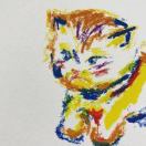 null转租