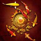 ༄舍·得༄的头像-宝妈福缘创业网