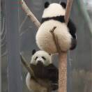 学以致富的头像-梦马考研