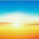 sunshine38019