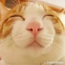 陈先生的头像
