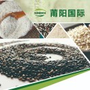 莆阳国际奇亚籽，圆苞壳、粉、李珊