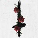 Síoróip的头像-cg男孩