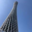 A牛1208
