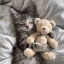 Tuffy