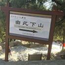 AAA古玩收藏大刘