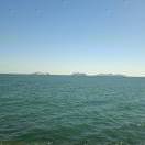 seafly