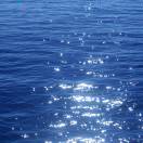 用户79082451的头像-秀琴曲谱网