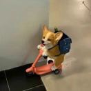 熊先生