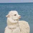 -醒来便是重生ㅤ的头像 