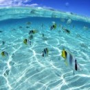 四海为家