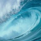 忘江湖的头像-汇聚千年易学精髓，尽在知蛛玄机