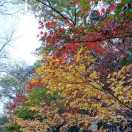 田道红的头像-传承国学正统持焰学堂