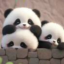 不忘初心[拳头]