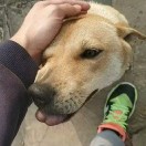 2.5Hz的头像-棉花糖会员站