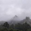 李先生