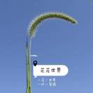 植艺🍃·花花世界～
