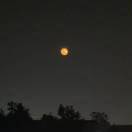 乐有家~郭志钧15207602139-长游分享网