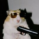 洛杉矶(加利福尼亚州)求租