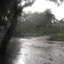 雨、泥巴路和你的头像