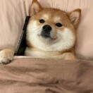 姚姚