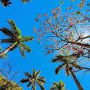 晨晨老师的头像-教务文库