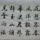 徐先生的头像