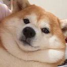 weixin_****Ps6SUV...