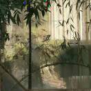 钱洛妍