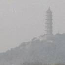 wx_岚山（南山树）49