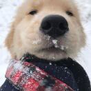 ￴￴ ￴￴ ￴_159