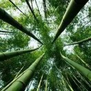 34趙宏泉