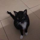 用户86919619的头像-博士钣金 - www.bsbanjin.com