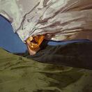 27 MajestyHouse转租