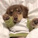 HeShees.的头像-风行者社区