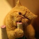 爱心使者：云霄仙人