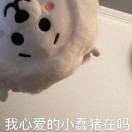 张先生的头像