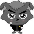 user icon