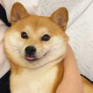 simle's Avatar