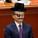 用户96429280的头像-WordPress主题模板-zibll子比主题