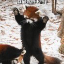 王祥力